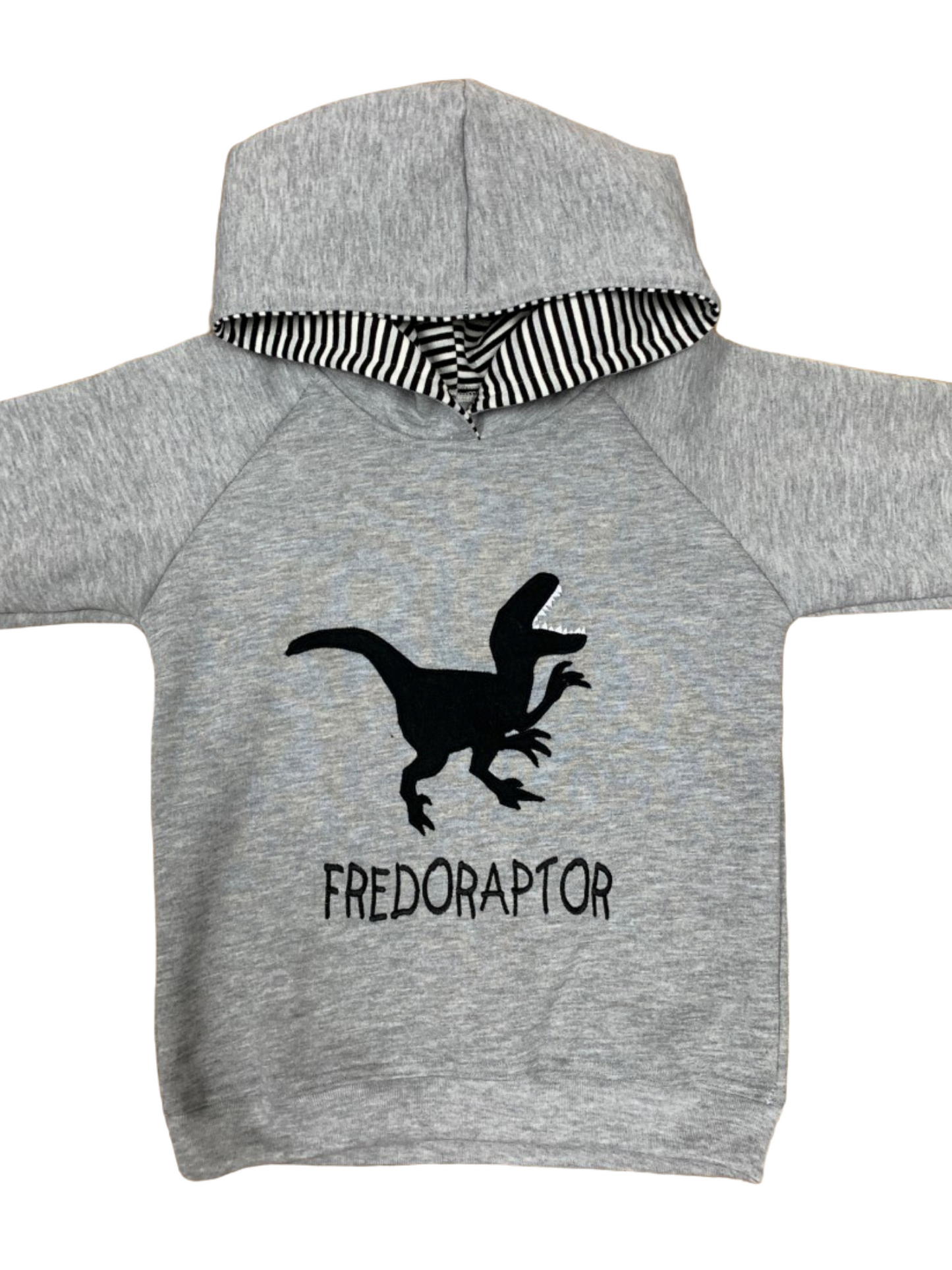 Name Your Dino Hoodie